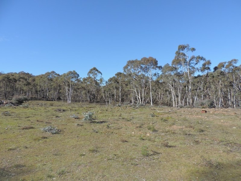 2164 Jerrong Road, Jerrong NSW 2580