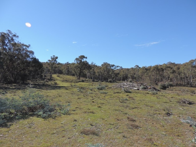 2164 Jerrong Road, Jerrong NSW 2580