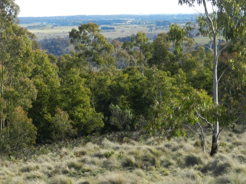 Lot 2  Guineacor North Road, Taralga NSW 2580