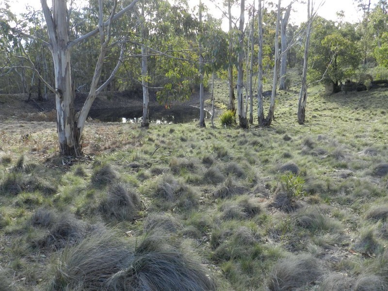 Lot 2  Guineacor North Road, Taralga NSW 2580