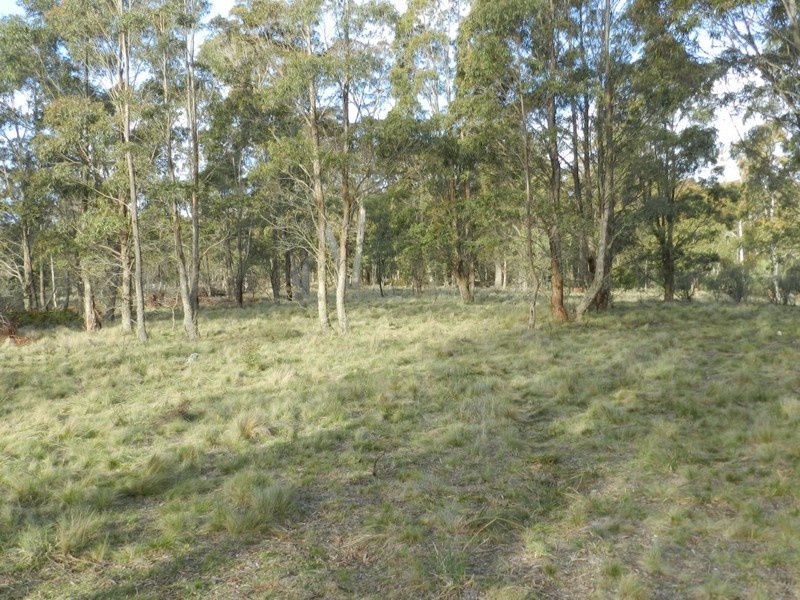 Lot 2  Guineacor North Road, Taralga NSW 2580
