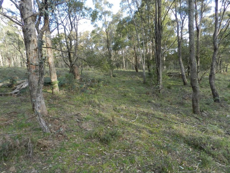 Lot 2  Guineacor North Road, Taralga NSW 2580
