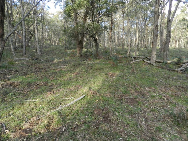 Lot 2  Guineacor North Road, Taralga NSW 2580