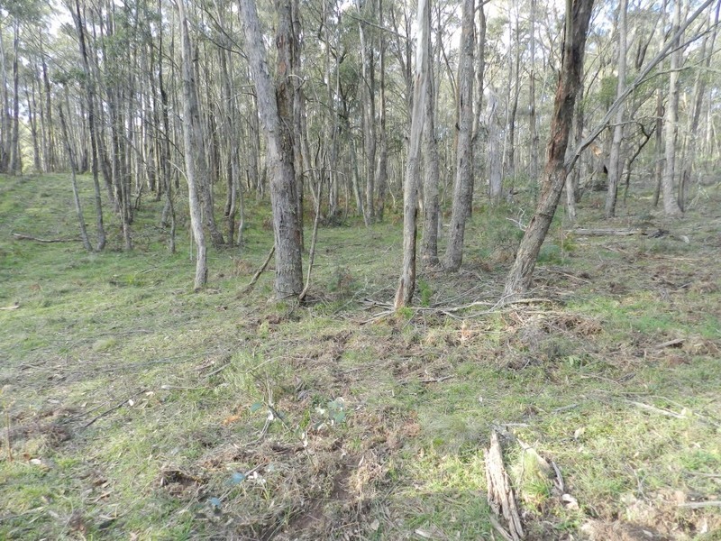 Lot 2  Guineacor North Road, Taralga NSW 2580