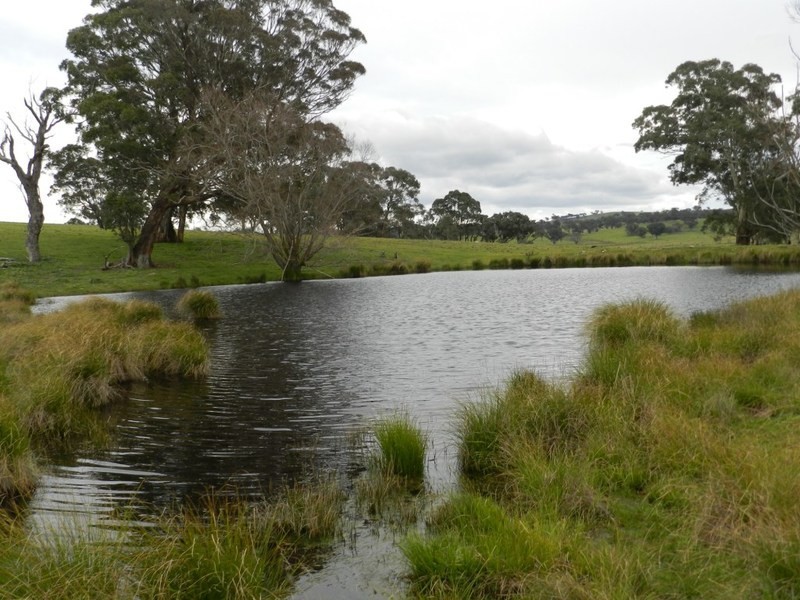 Bolton 656 Kangaloolah  Road, Binda NSW 2583