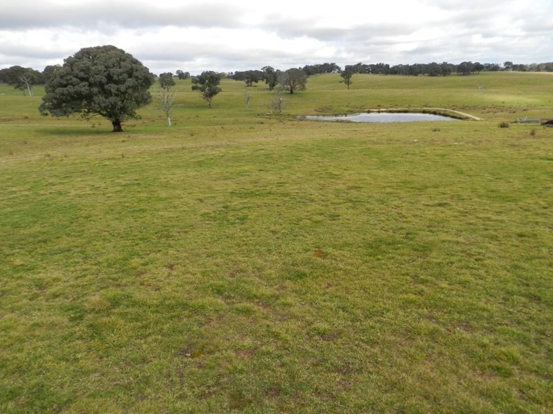 Bolton 656 Kangaloolah  Road, Binda NSW 2583