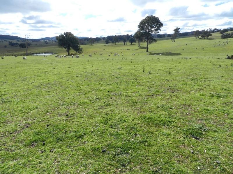 Bolton 656 Kangaloolah  Road, Binda NSW 2583