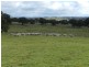 Bolton 656 Kangaloolah  Road, Binda NSW 2583