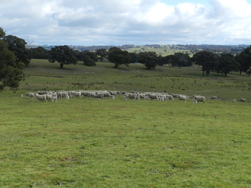 Bolton 656 Kangaloolah  Road, Binda NSW 2583
