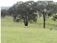Bolton 656 Kangaloolah  Road, Binda NSW 2583