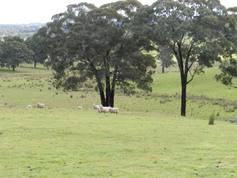 Bolton 656 Kangaloolah  Road, Binda NSW 2583