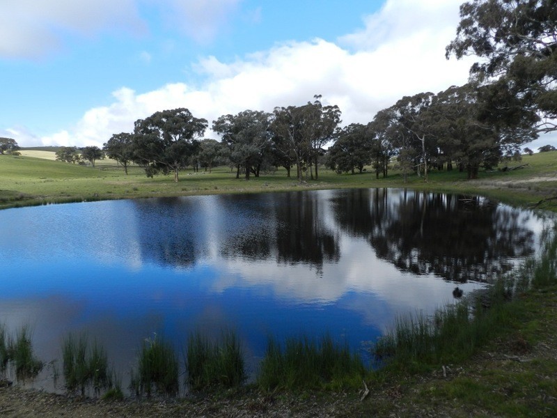 Bolton 656 Kangaloolah  Road, Binda NSW 2583