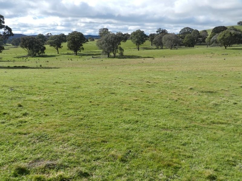Bolton 656 Kangaloolah  Road, Binda NSW 2583