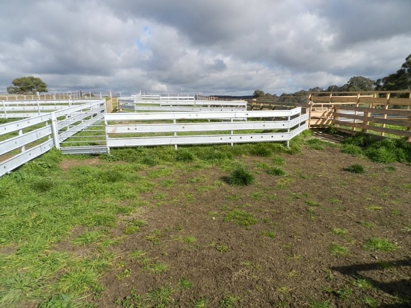 Bolton 656 Kangaloolah  Road, Binda NSW 2583