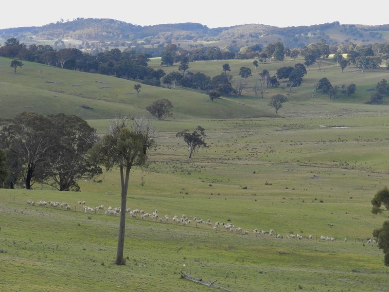Bolton 656 Kangaloolah  Road, Binda NSW 2583