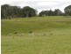 Bolton 656 Kangaloolah  Road, Binda NSW 2583