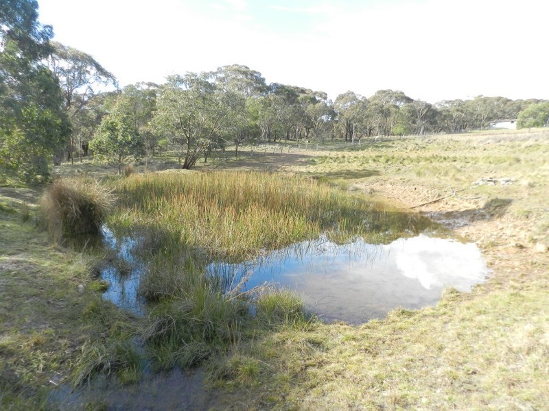 629 Bannaby Road, Taralga NSW 2580