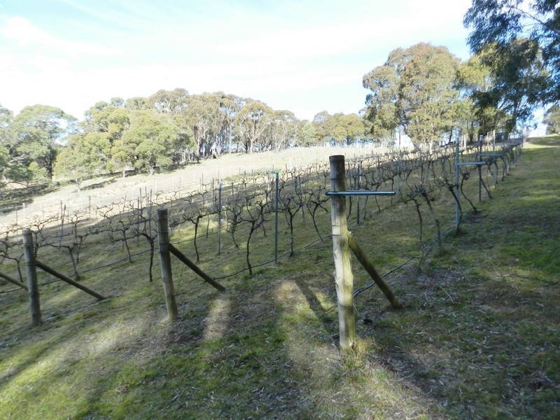 629 Bannaby Road, Taralga NSW 2580