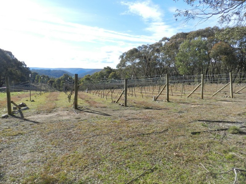 629 Bannaby Road, Taralga NSW 2580