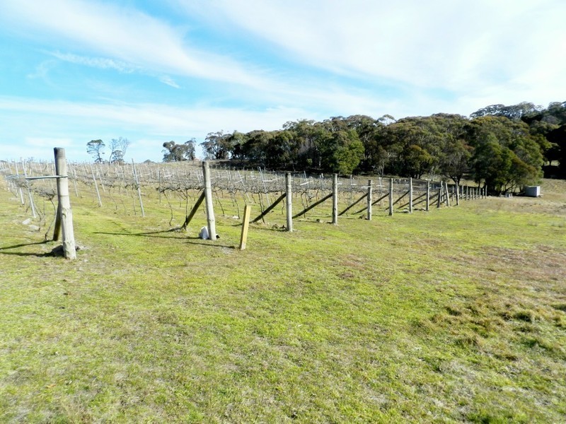 629 Bannaby Road, Taralga NSW 2580