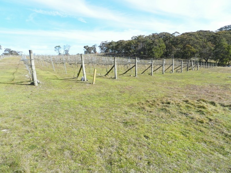 629 Bannaby Road, Taralga NSW 2580