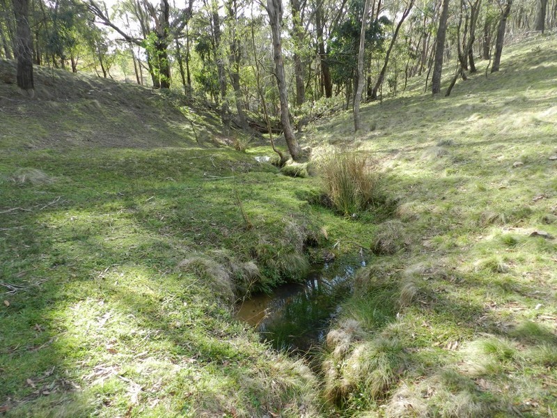 629 Bannaby Road, Taralga NSW 2580