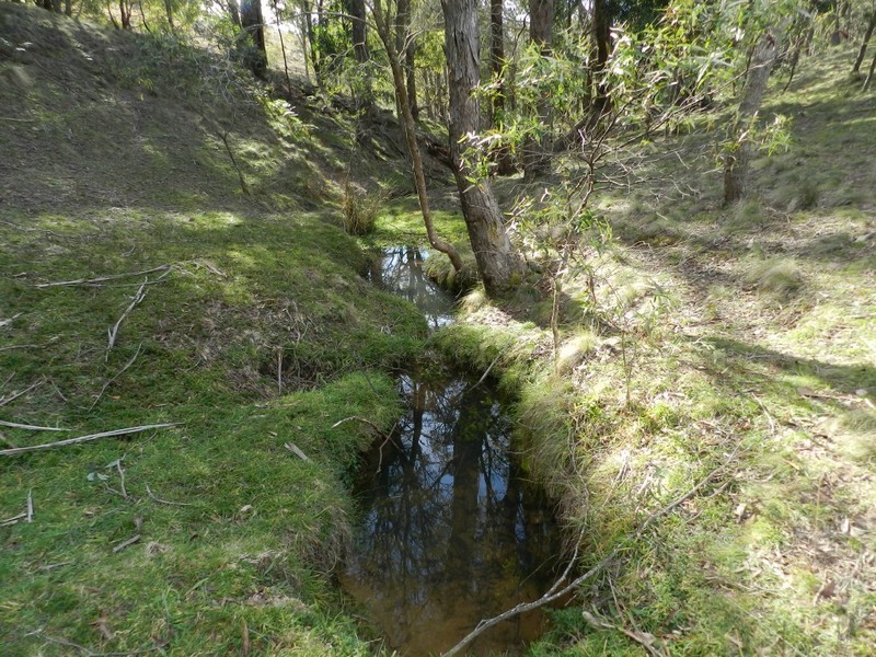 629 Bannaby Road, Taralga NSW 2580