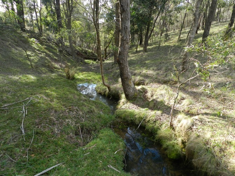 629 Bannaby Road, Taralga NSW 2580