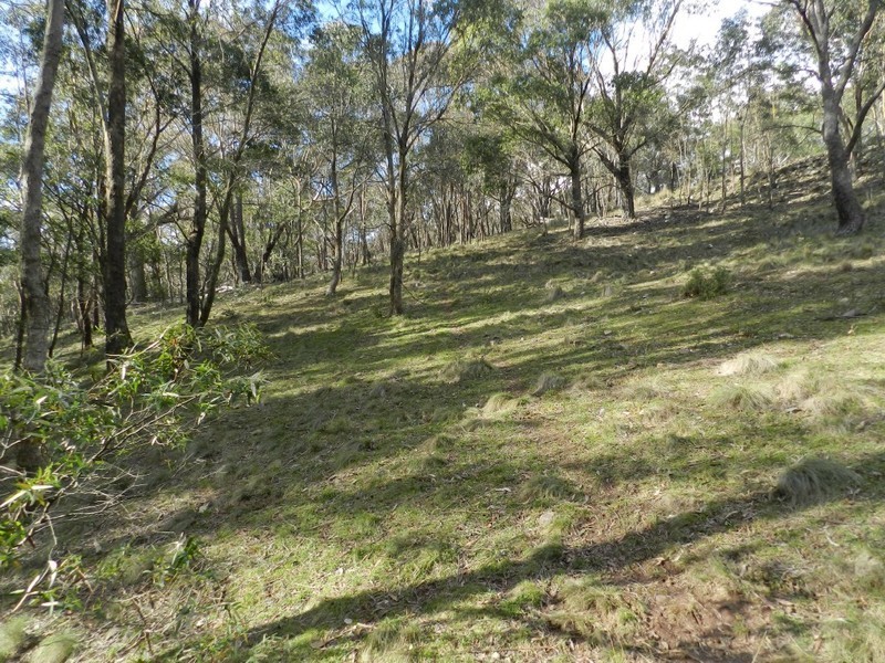 629 Bannaby Road, Taralga NSW 2580