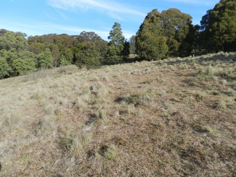 629 Bannaby Road, Taralga NSW 2580