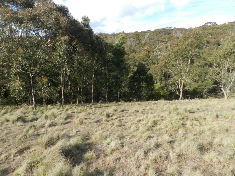 629 Bannaby Road, Taralga NSW 2580