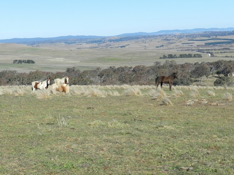 211 Pomaroy Mill Ford Road, Goulburn NSW 2580