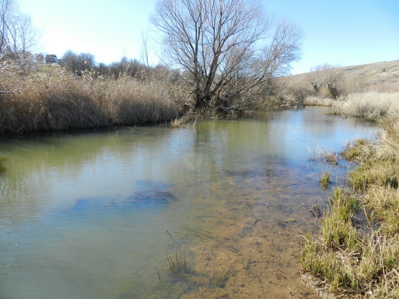 211 Pomaroy Mill Ford Road, Goulburn NSW 2580