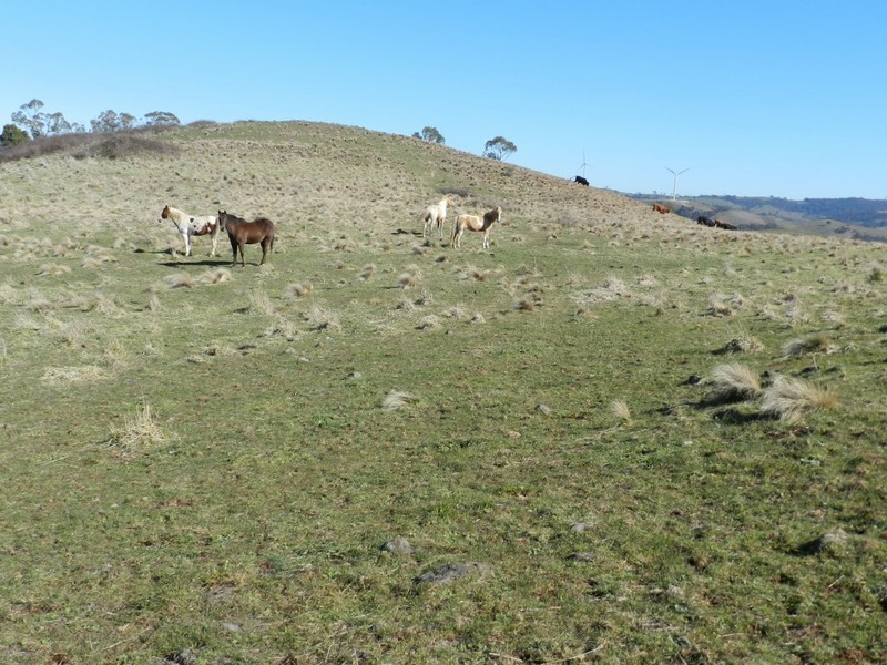 211 Pomaroy Mill Ford Road, Goulburn NSW 2580