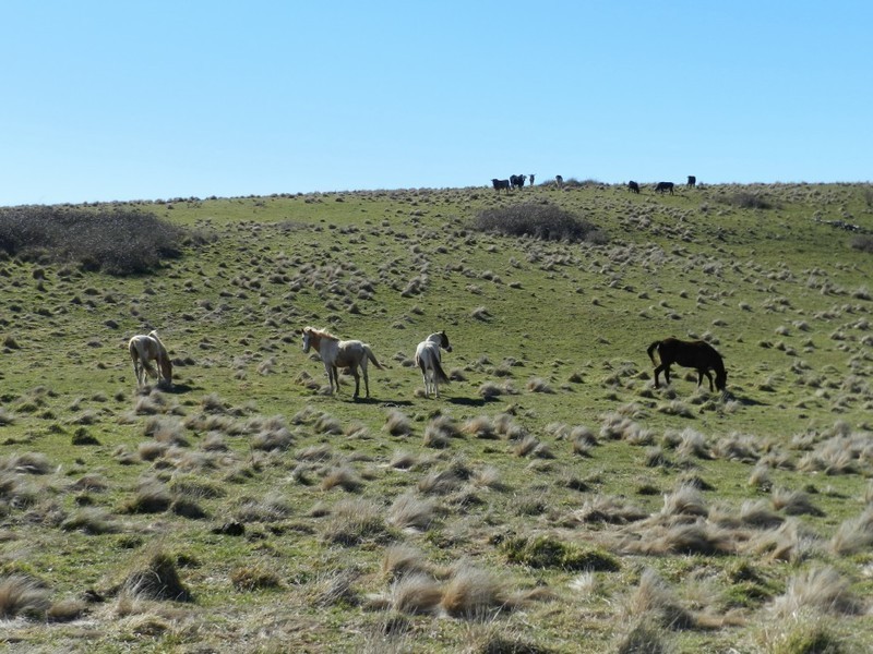 211 Pomaroy Mill Ford Road, Goulburn NSW 2580