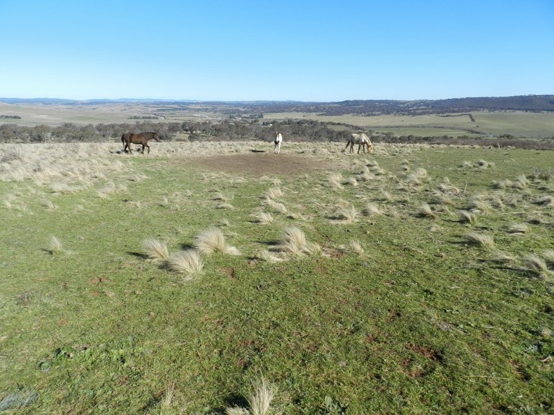 211 Pomaroy Mill Ford Road, Goulburn NSW 2580