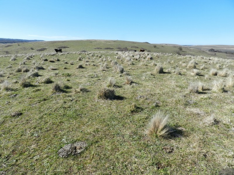 211 Pomaroy Mill Ford Road, Goulburn NSW 2580