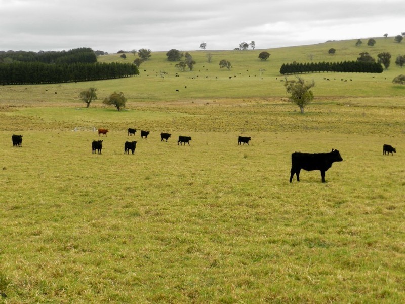 Grathawai Oberon  Road, Taralga NSW 2580