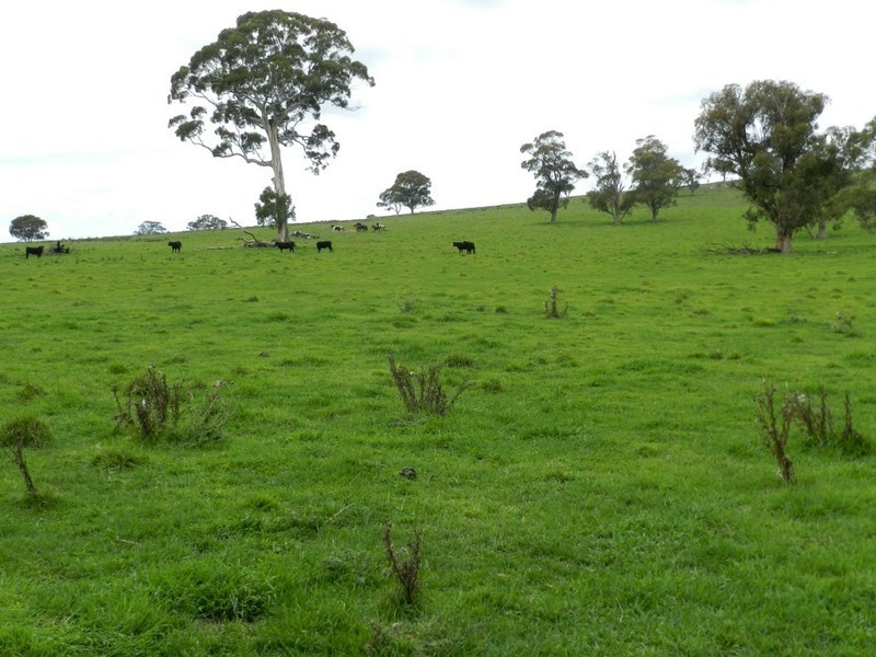 Grathawai Oberon  Road, Taralga NSW 2580