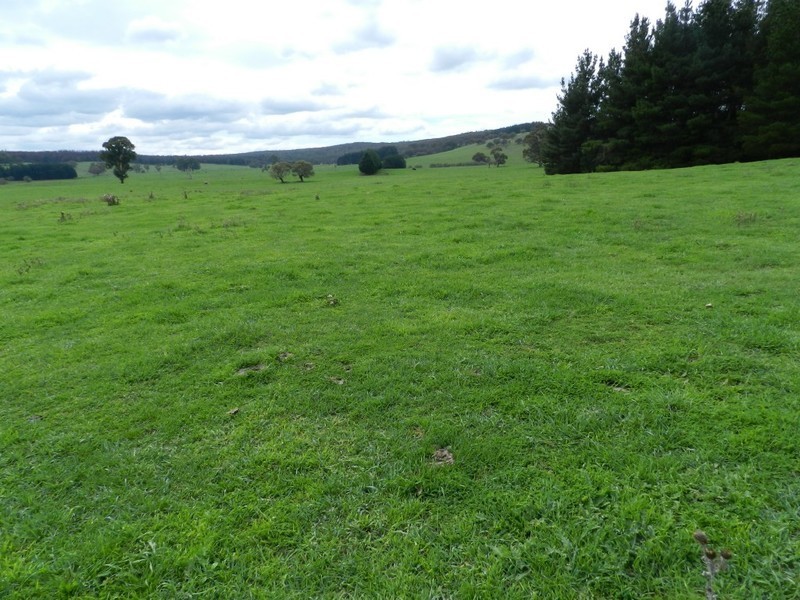 Grathawai Oberon  Road, Taralga NSW 2580