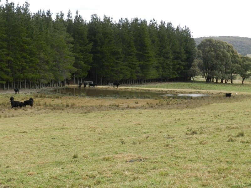 Grathawai Oberon  Road, Taralga NSW 2580