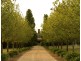 157 Range  Road, Goulburn NSW 2580