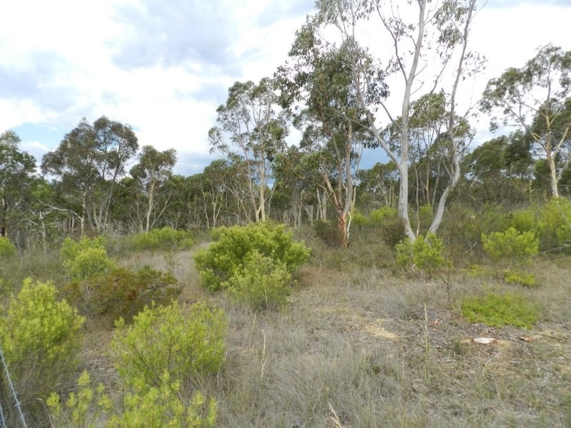 24 Redgum Drive, Tallong NSW 2579