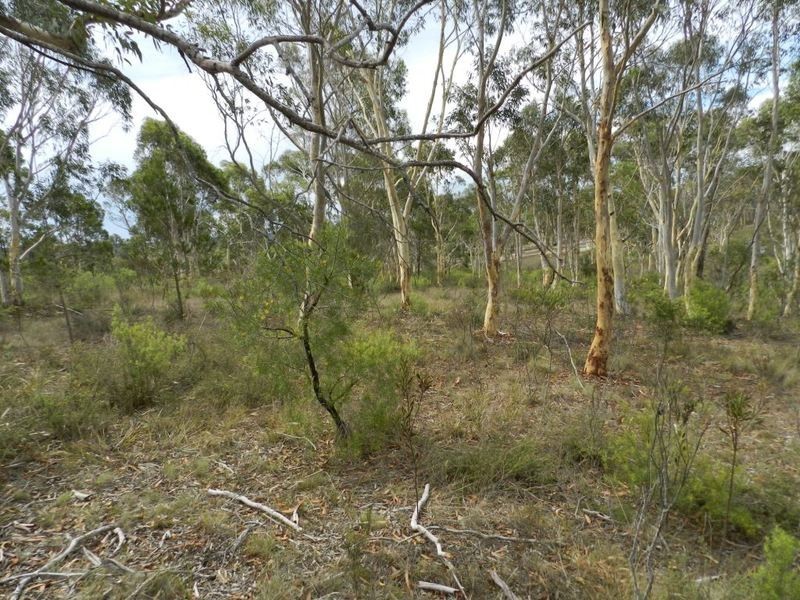 24 Redgum Drive, Tallong NSW 2579