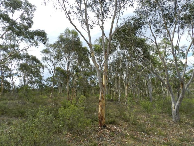 24 Redgum Drive, Tallong NSW 2579