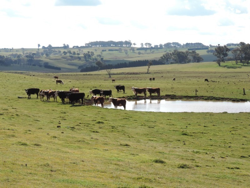 2851 Gunning Road, Grabben Gullen NSW 2583