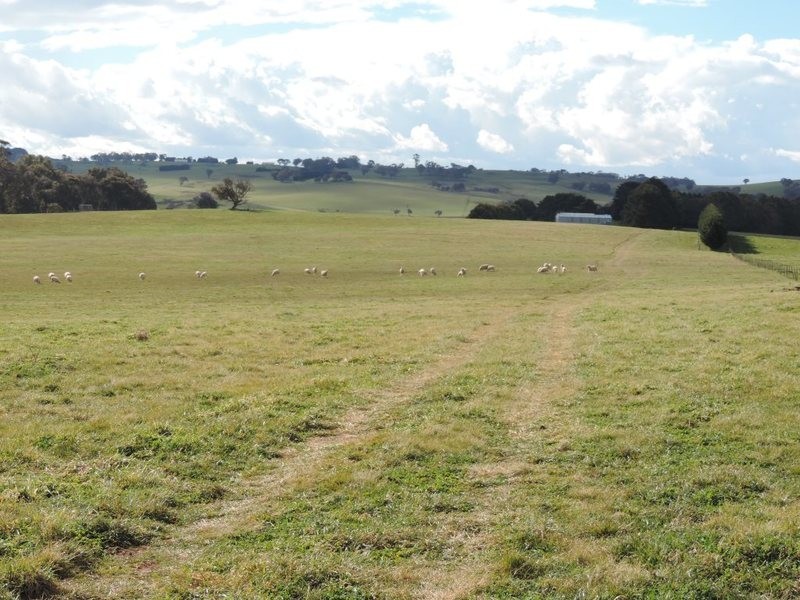 2851 Gunning Road, Grabben Gullen NSW 2583