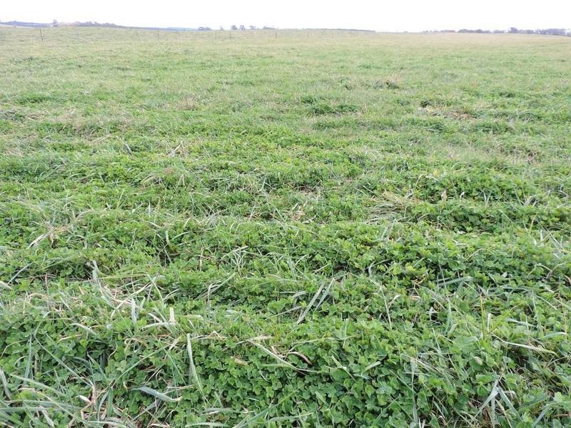 2851 Gunning Road, Grabben Gullen NSW 2583