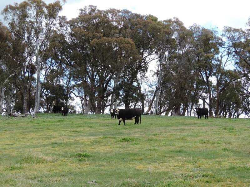 2851 Gunning Road, Grabben Gullen NSW 2583