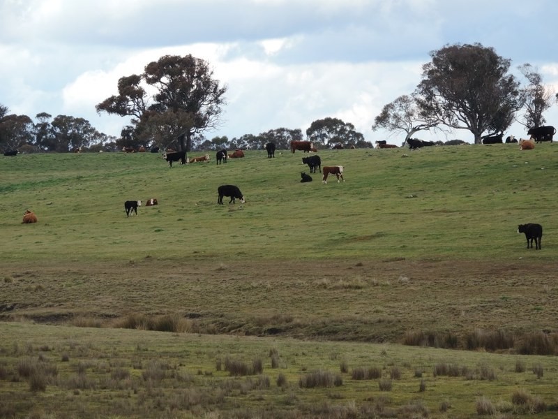 2851 Gunning Road, Grabben Gullen NSW 2583